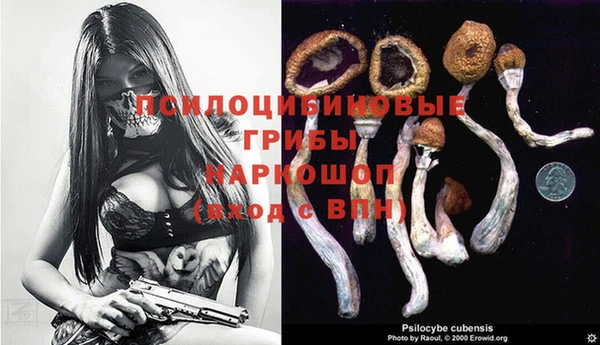 ALPHA-PVP Белокуриха