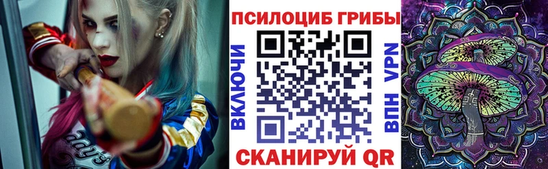 Галлюциногенные грибы Psilocybine cubensis  Невель 